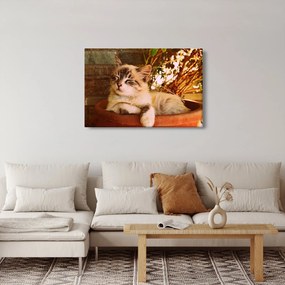 Tablou cu pisica în ghiveci (90x60 cm)