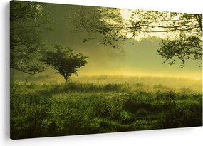 Tablou - Pădurea trezită (90x60 cm)