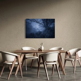 Tabloul pădurii întunecate (90x60 cm)