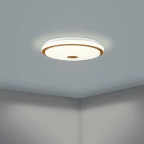 Plafonieră LED dimabilă LANCIANO LED/24W/230V Eglo 900598 + telecomandă