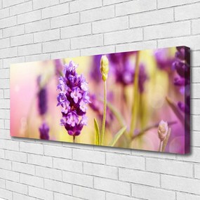 Tablou pe panza canvas Flori roz Floral