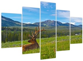 Tablou - Cerb în luncă (150x105 cm)