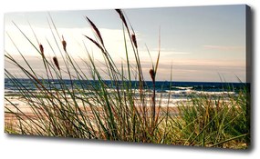 Tablou pe pânză canvas Dune de coastă