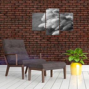 Tablou - iarbă de coadă de iepure pe masă (90x60 cm)