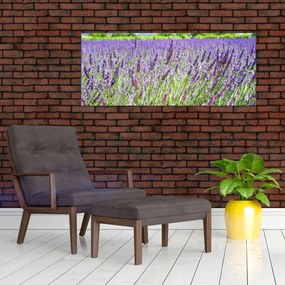 Tablou - Lavandă în câmp (120x50 cm)
