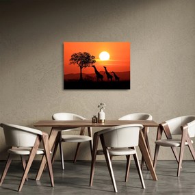 Tablou pe sticlă cu girafe în apus de soare (70x50 cm)