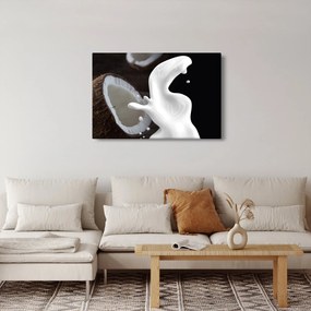Tablou - laptele de cocos (90x60 cm)