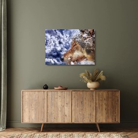 Tablou pe sticlă cu lup (70x50 cm)