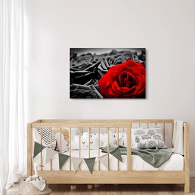 Tablou - Trandafir (90x60 cm)