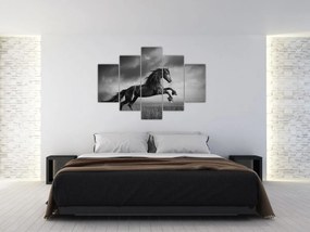 Tablou - Cal alb și negru (150x105 cm)