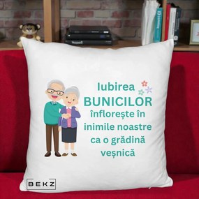 Cadou pentru Bunici - Perna Personalizata Bunicii Iubirea Infloreste Cuplu Senior Teal, 40x40 cm, Alb Pufos, Husa Detasabila, Perna Inclusa, BEKZ®