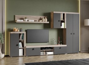 Set Mobilier Living Gri cu Stejar Gri Sam-C24