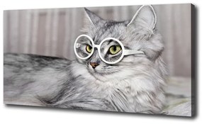 Tablou pe pânză canvas Cat cu ochelari