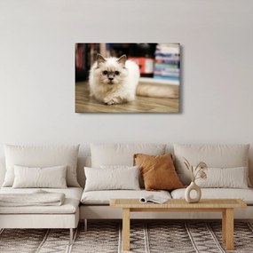 Tablou cu pisica albăr (90x60 cm)