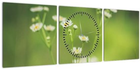 Tablou - Margarete (cu ceas) (90x30 cm)