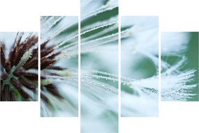 Tablou - Detaliu floare (150x105 cm)