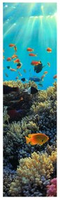 Fotojaluzele R012161R42150 (42x150 cm)