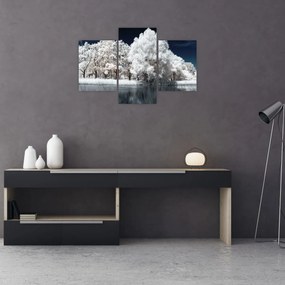 Tablou - Albă ca Zăpada Albă ca Zăpada Copaci (90x60 cm)