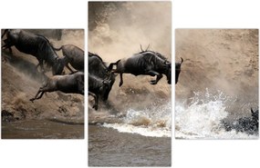 Tablou - Turmă de gnu (90x60 cm)