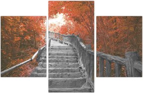 Tablou - Scări în natură, portocaliu (90x60 cm)