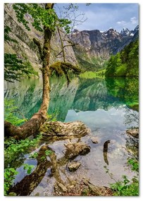 Tablou sticlă Lacul în munți