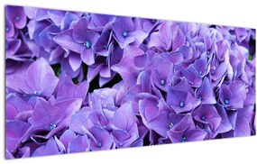 Tablou cu flori violete (120x50 cm)