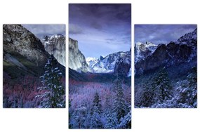 Tablou - Yosemite, USA (90x60 cm)