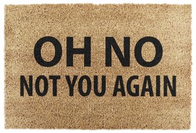 Covoraș de intrare din fibre de nucă de cocos 40x60 cm Not You Again – Artsy Doormats