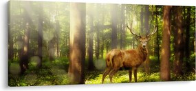 Tablou cu cerbul în pădure (120x50 cm)