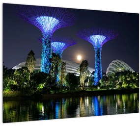 Tablou cu lună plină în grădinile din Singapur (70x50 cm)