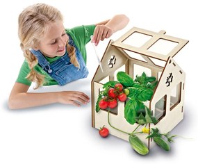 Set creativ - Sera de legume