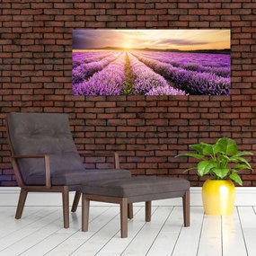 Tablou - Răsărit de soare în câmp de lavandă (120x50 cm)