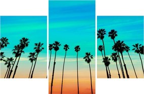 Tablou - California (90x60 cm)