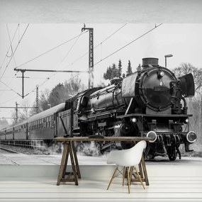 Fototapet - Locomotiva cu aburi (254x184 cm)