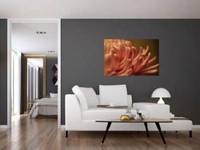 Tablou cu detailu florii (90x60 cm)