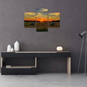 Tablou - Baloți din sat (90x60 cm)