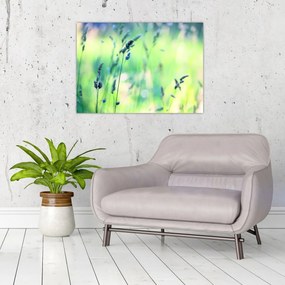 Tablou - Detaliu pajiște (70x50 cm)