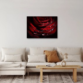 Tablou - Trandafir (70x50 cm)