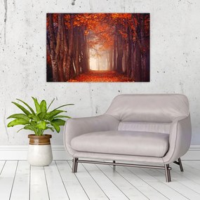 Tablou - Pădurea de toamnă (90x60 cm)