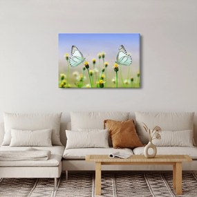 Tablou cu fluture pe floare (90x60 cm)