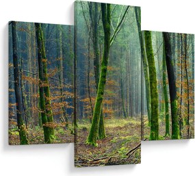 Tablou cu pădure (90x60 cm)
