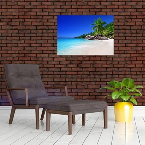 Tablou pe sticlă cu plaja pe insula Praslin (70x50 cm)