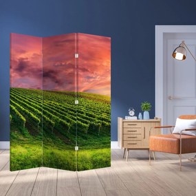 Paravan - Vie cu cerul color (126x170 cm)