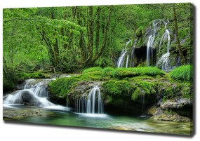 Tablou pe pânză Cascadă