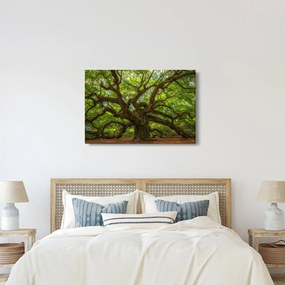 Tablou - Copac verde (90x60 cm)