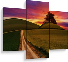 Tablou câmpului cu apus de soare (90x60 cm)