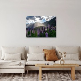 Tablou - scenariu cu flori de Lupin (70x50 cm)