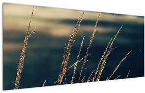 Tablou cu ierburi (120x50 cm)
