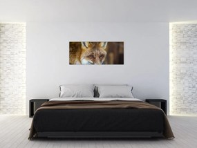 Tablou cu vulpe (120x50 cm)
