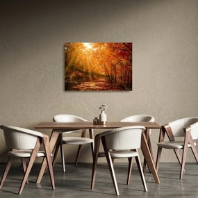 Tablou pe sticlă cu pădurea în toamnă (70x50 cm)
